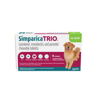 Oyster Bay Animal Hospital: Veterinarian Long Island, NY — Surgery clinic in Oyster Bay, NY — photo 2